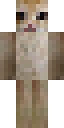 2D skin preview