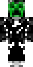 2D skin preview