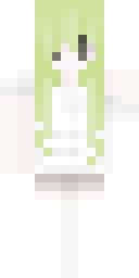 2D skin preview