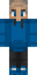 2D skin preview