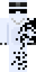 2D skin preview