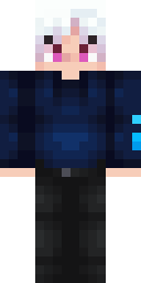 2D skin preview