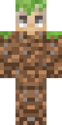 2D skin preview
