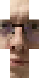 2D skin preview