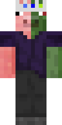 2D skin preview
