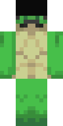 2D skin preview