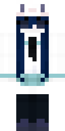 2D skin preview