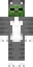 2D skin preview
