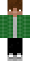 2D skin preview