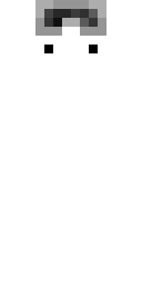 2D skin preview