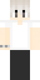 2D skin preview