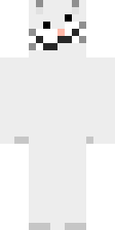 2D skin preview