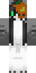 2D skin preview