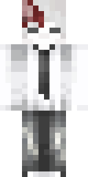 Skin preview for TaxEvade