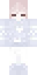 2D skin preview