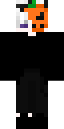 2D skin preview