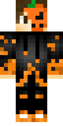 2D skin preview