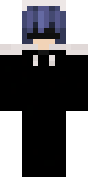 2D skin preview