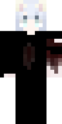 2D skin preview
