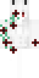 2D skin preview