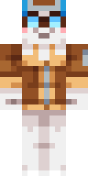 2D skin preview