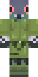 2D skin preview