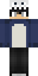 2D skin preview