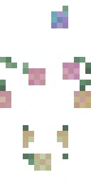 2D skin preview