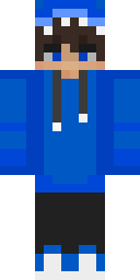 2D skin preview