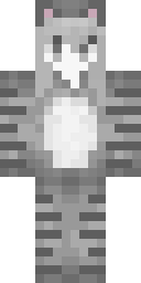 2D skin preview
