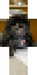 2D skin preview