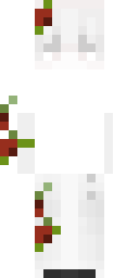 2D skin preview