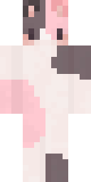2D skin preview