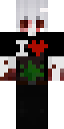 2D skin preview