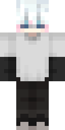 2D skin preview