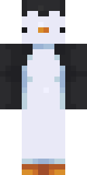 2D skin preview