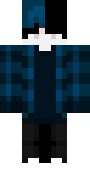 2D skin preview