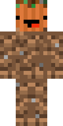 2D skin preview