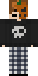2D skin preview