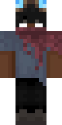2D skin preview