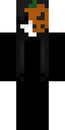 2D skin preview
