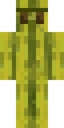 2D skin preview