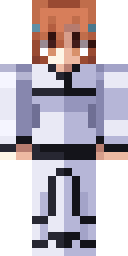2D skin preview