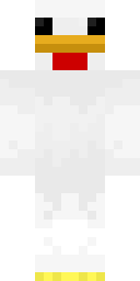2D skin preview