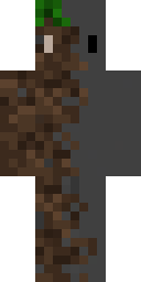 2D skin preview