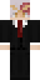 Skin preview for Slvye