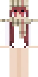 2D skin preview