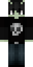 2D skin preview