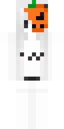 Skin preview for ptd0