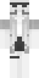 2D skin preview